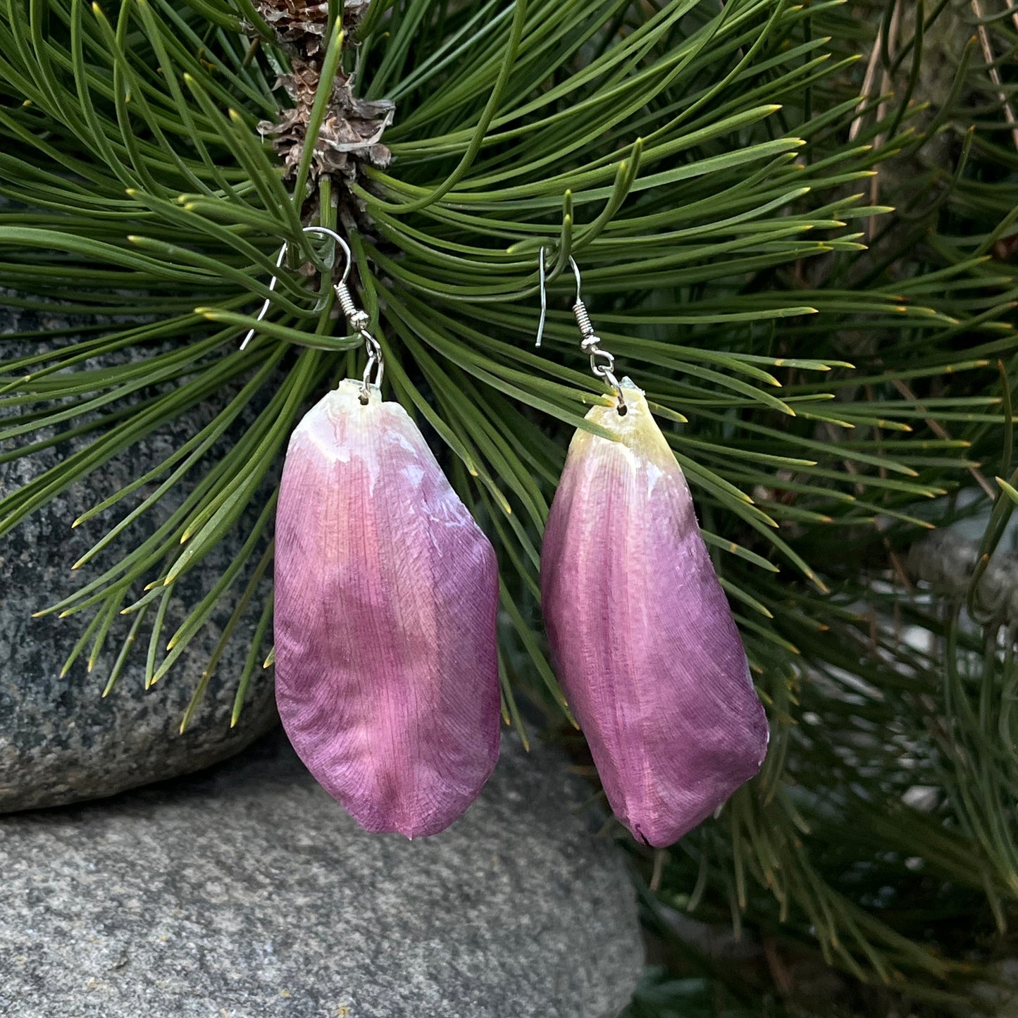 Violetinės tulpės