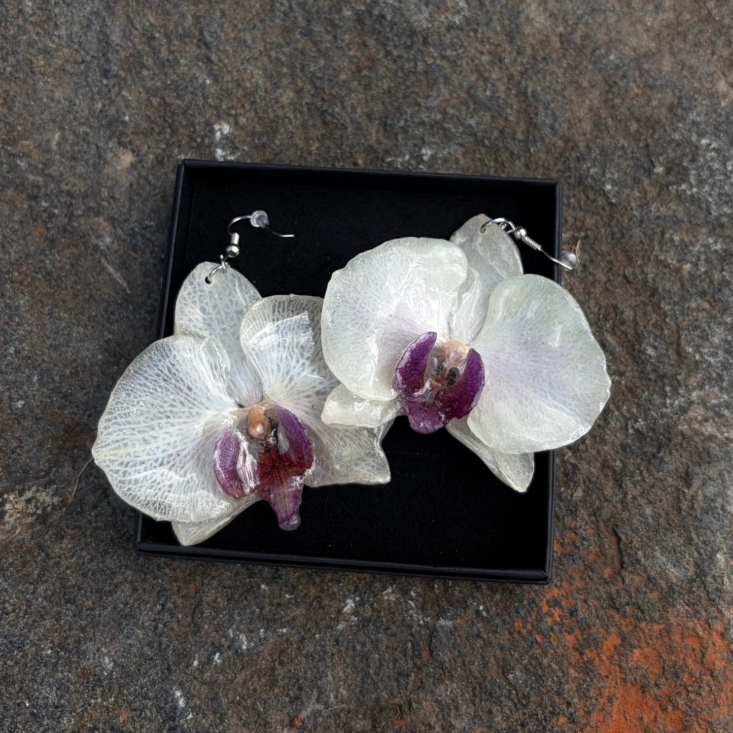 Orchidėjos
