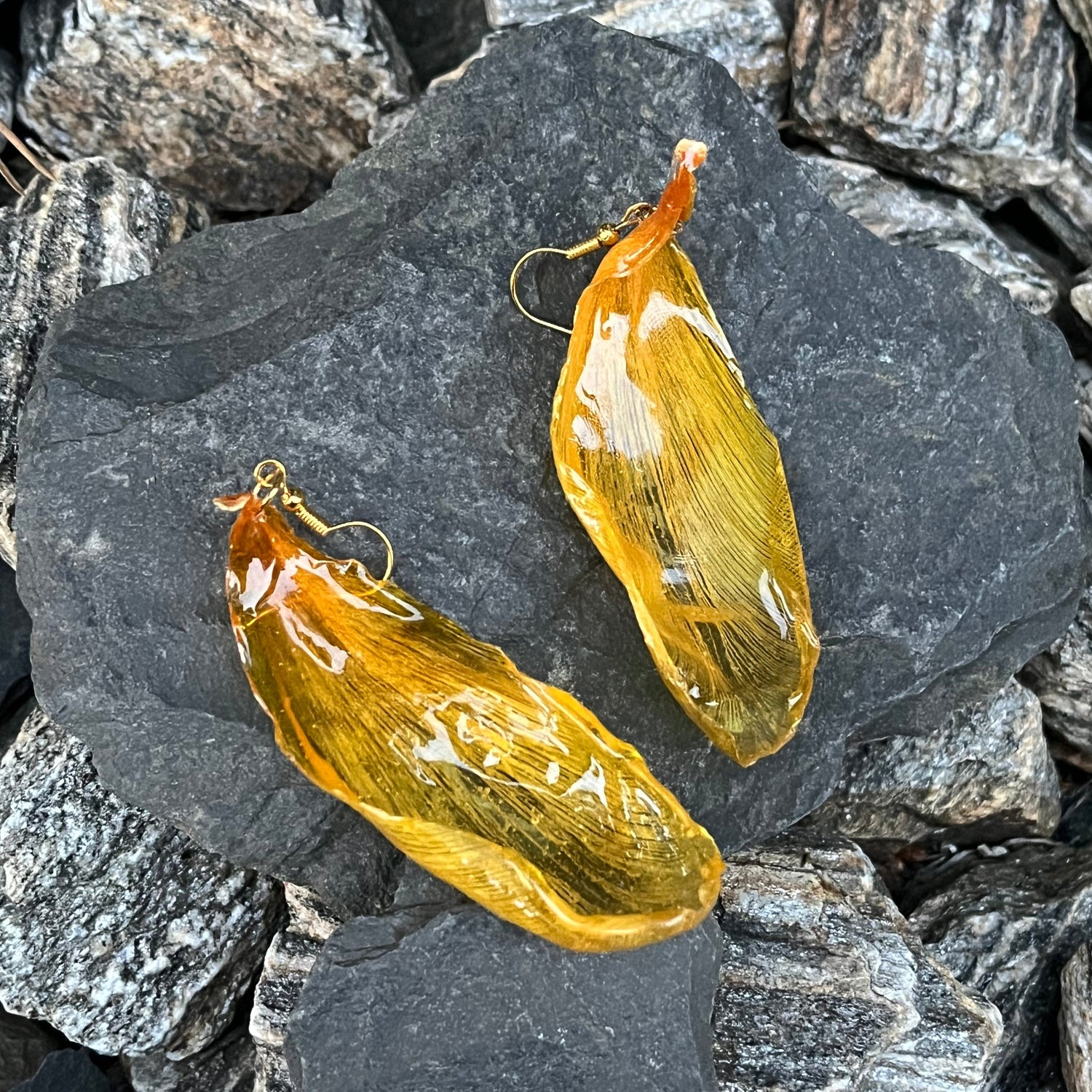 Tulpės
