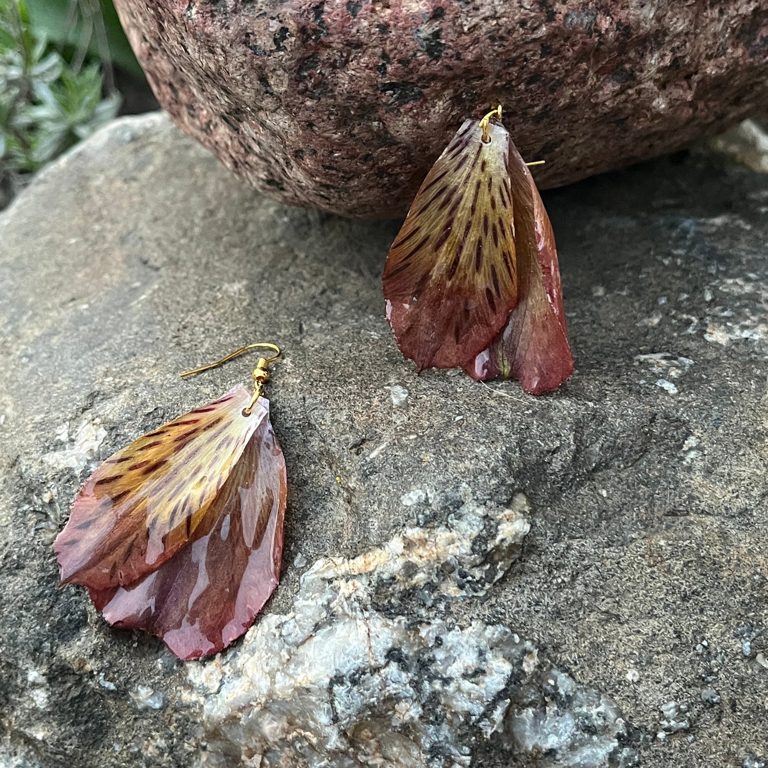 Lelijos
