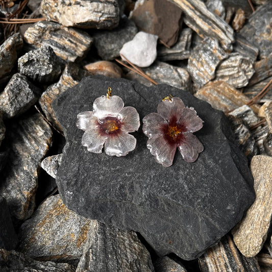 Rausva geranija