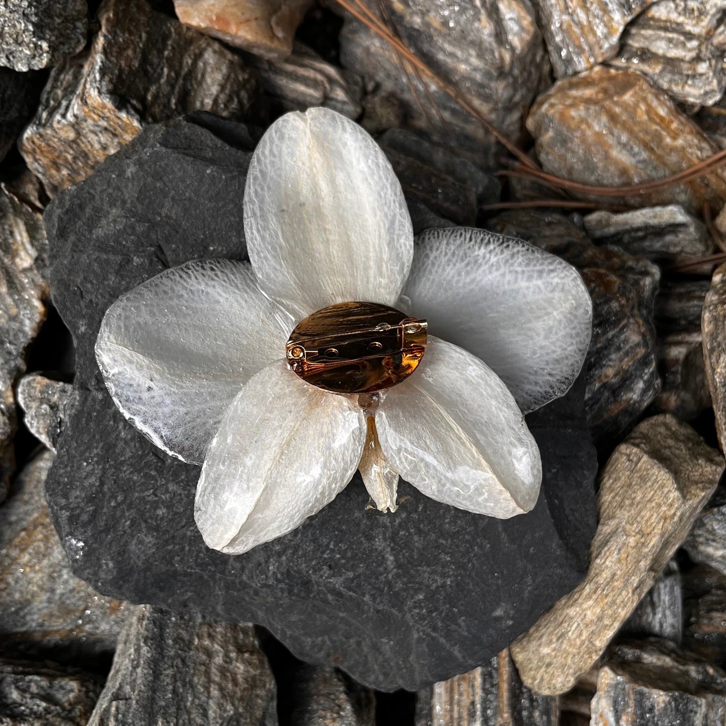 Orchidejos sagė