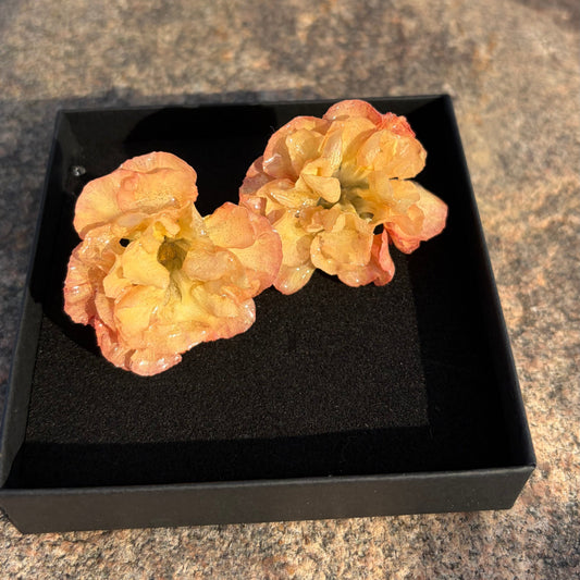 Geltonai oranžiniai gvazdikėliai