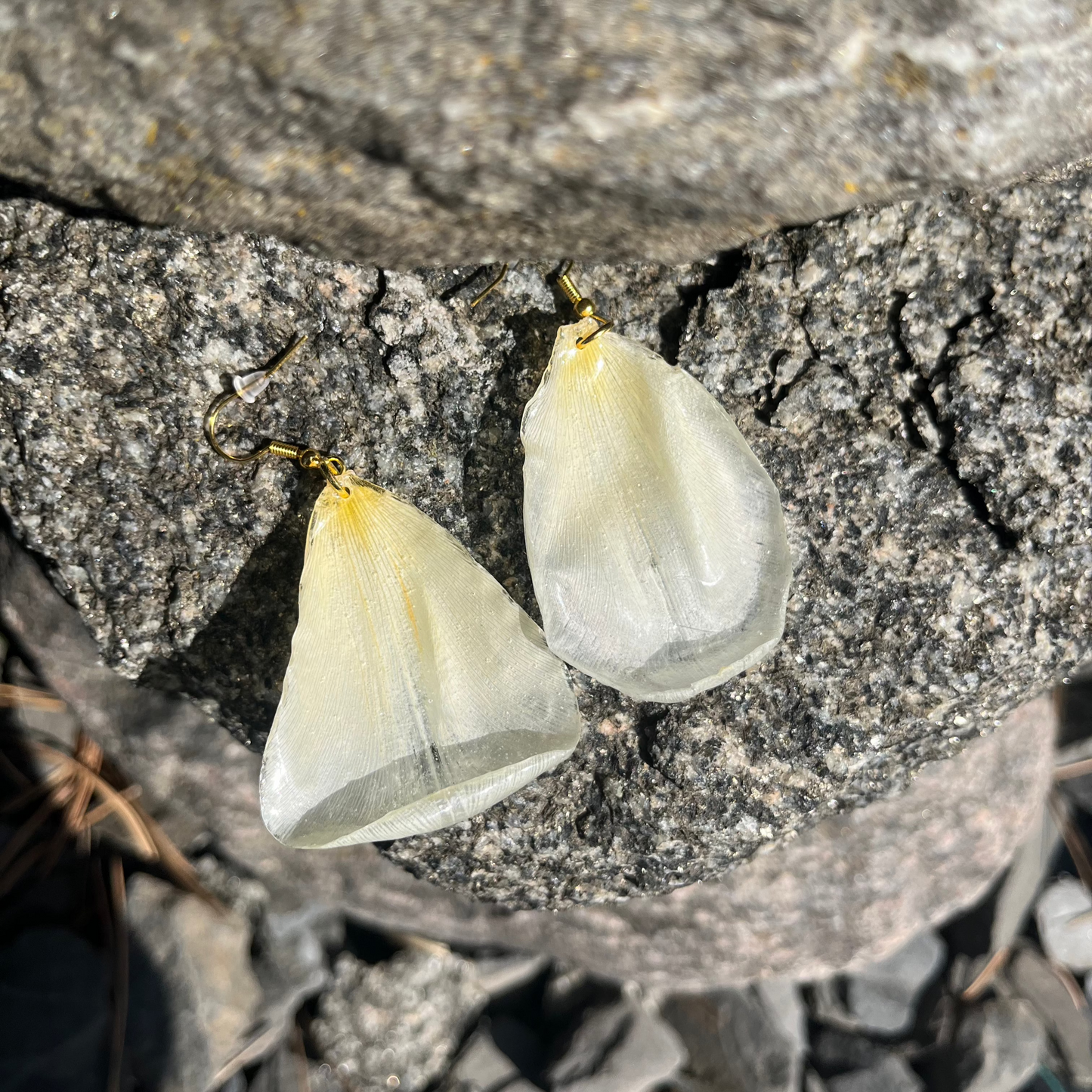 White tulip flowers