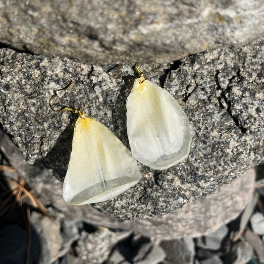 White tulip flowers