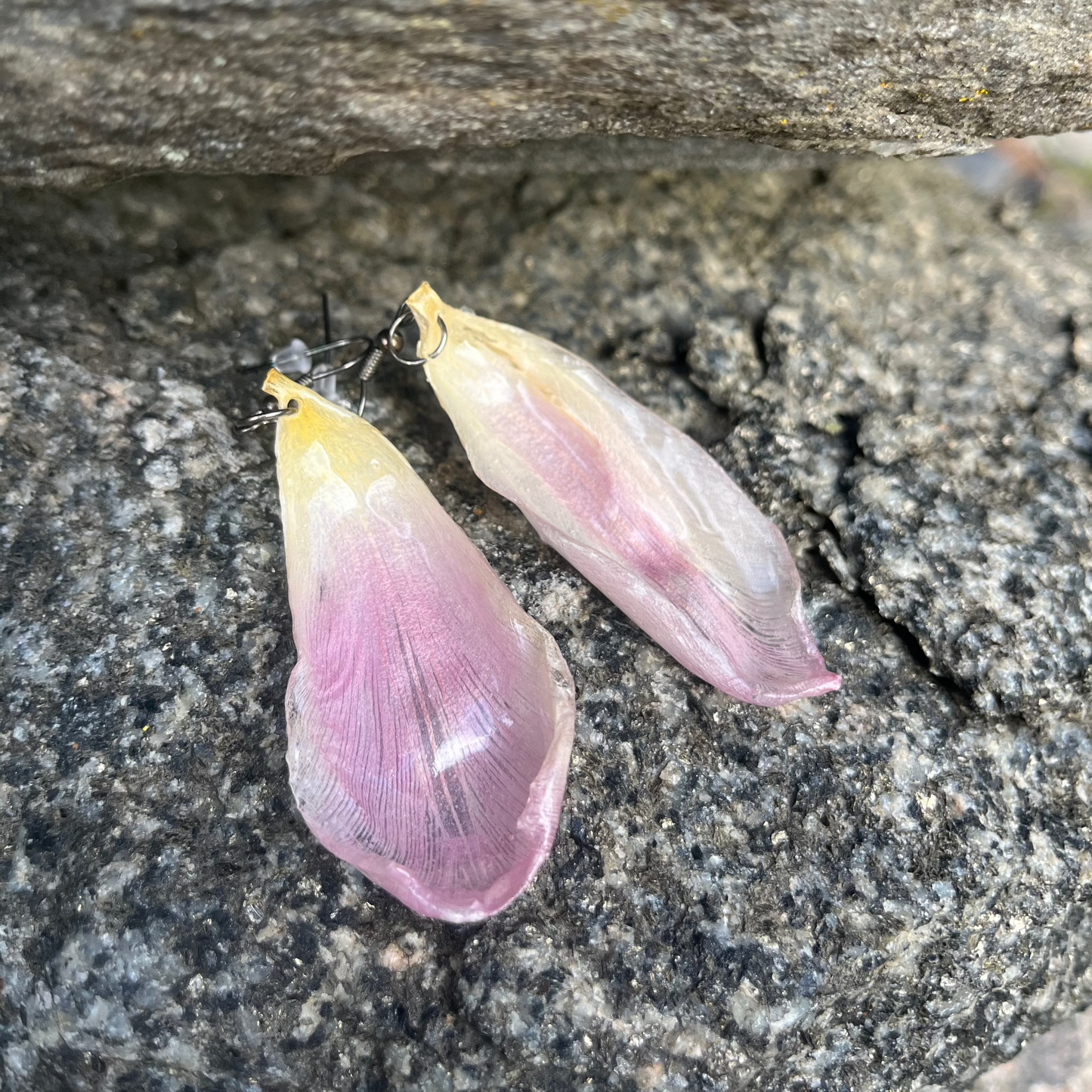 Pink tulip petals