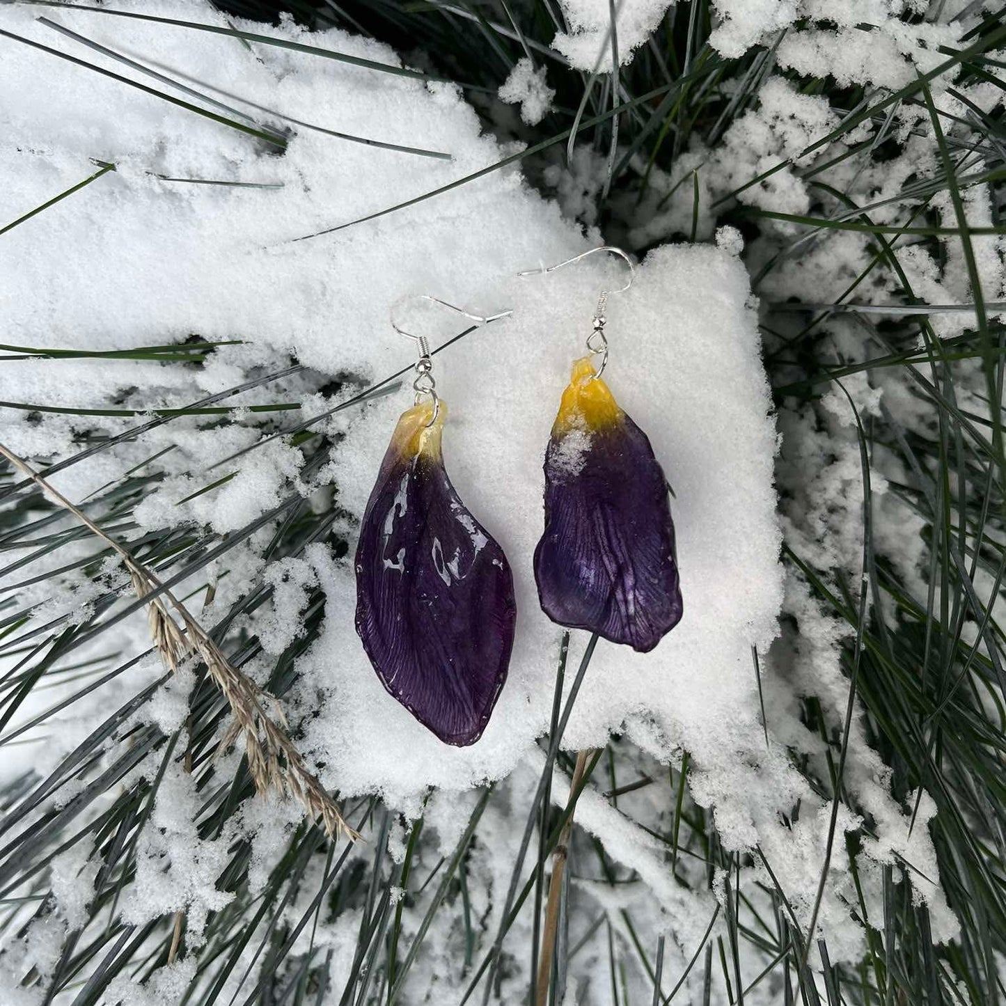 Tulip petals