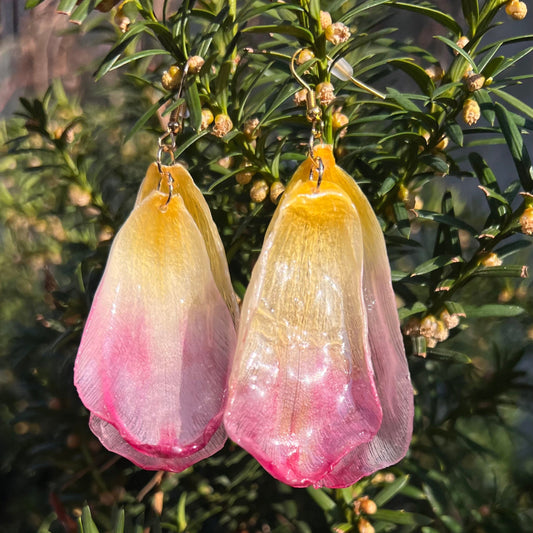 Pinkish-yellow tulips