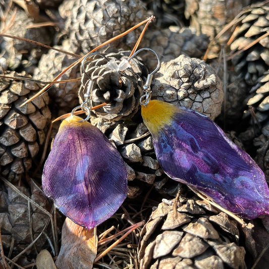 Tulip petals